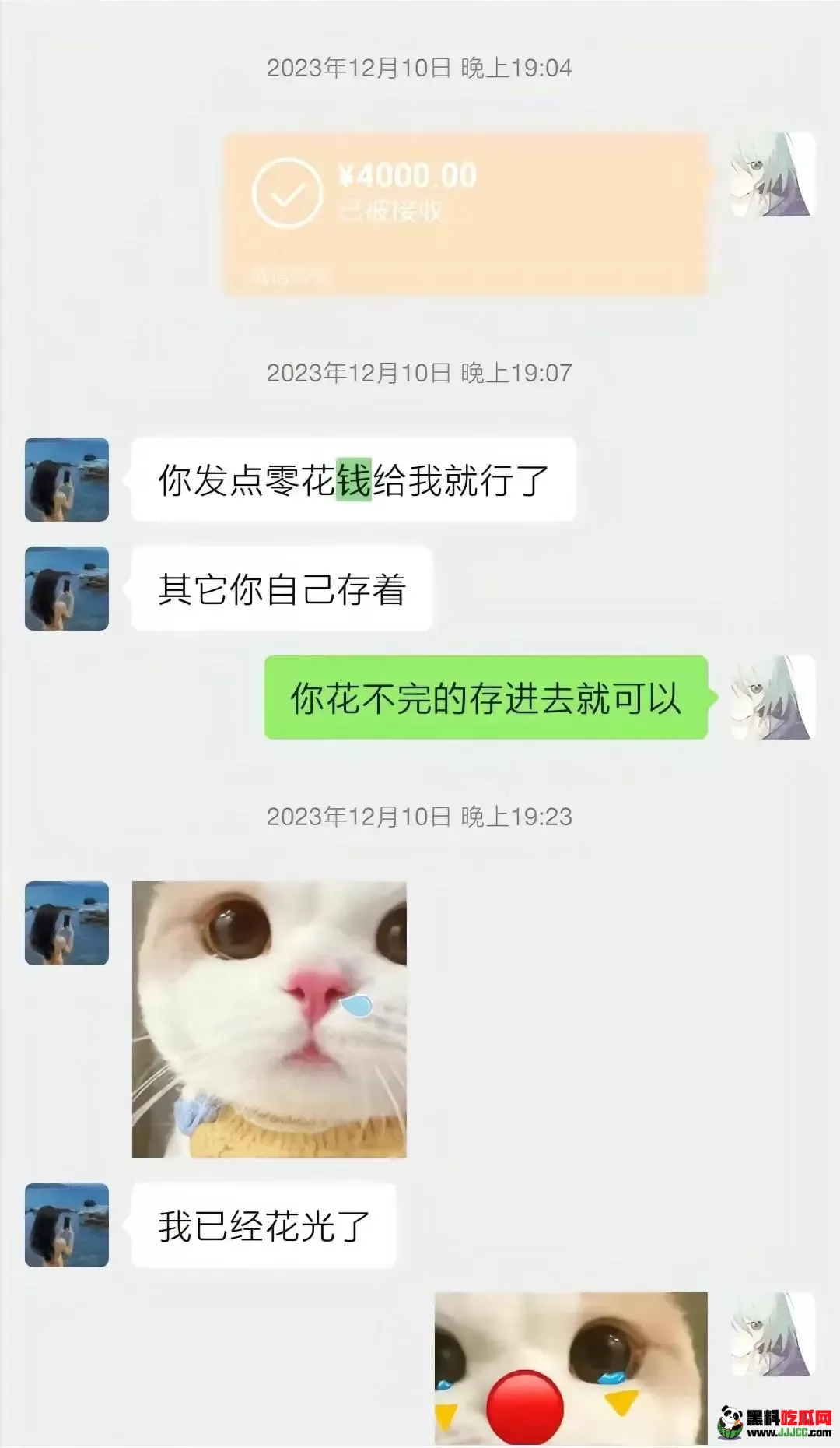 胖猫事情来龙去脉曝光！沉沦爱情陷阱，聊天记录看了让人心寒愤怒